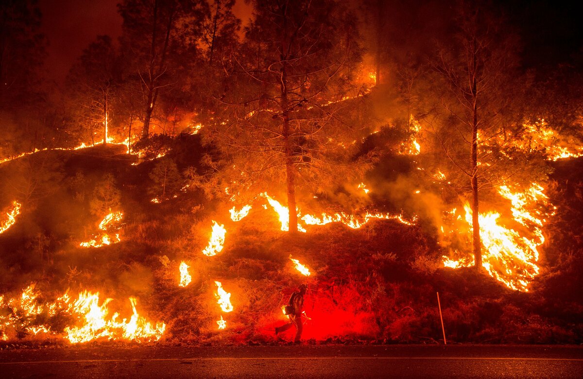 Лесные пожары в Калифорнии