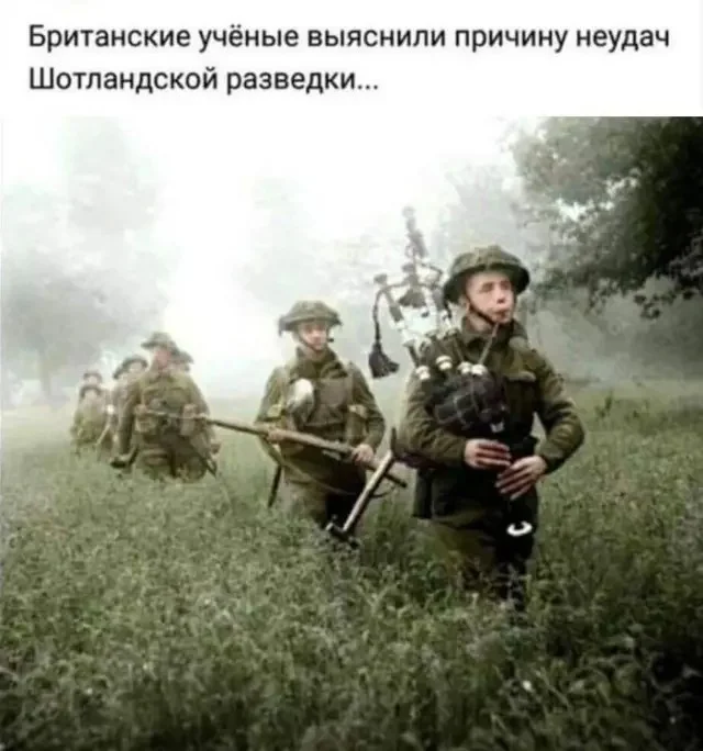 мемы приколы