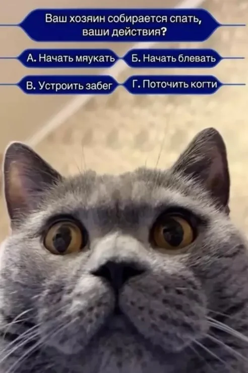 Глупые приколы