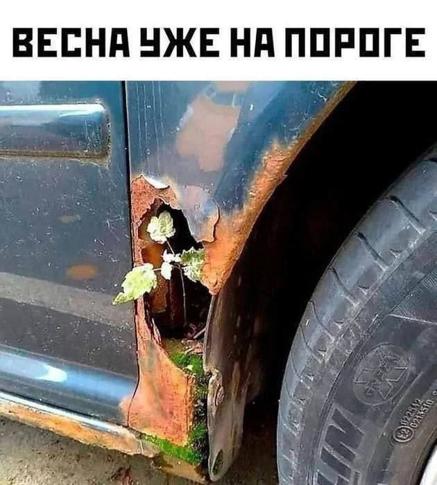 пошлые мемы