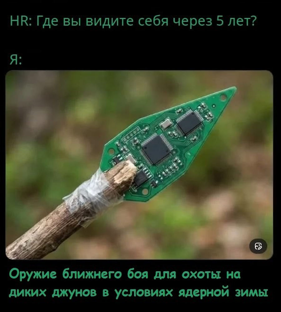 фото приколы