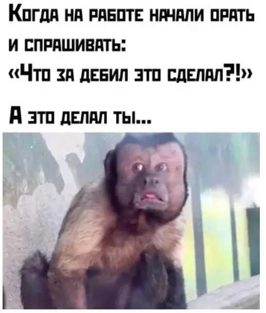 Глупые приколы