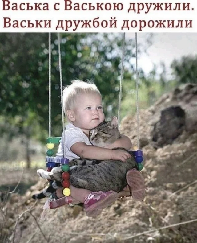 мемы приколы
