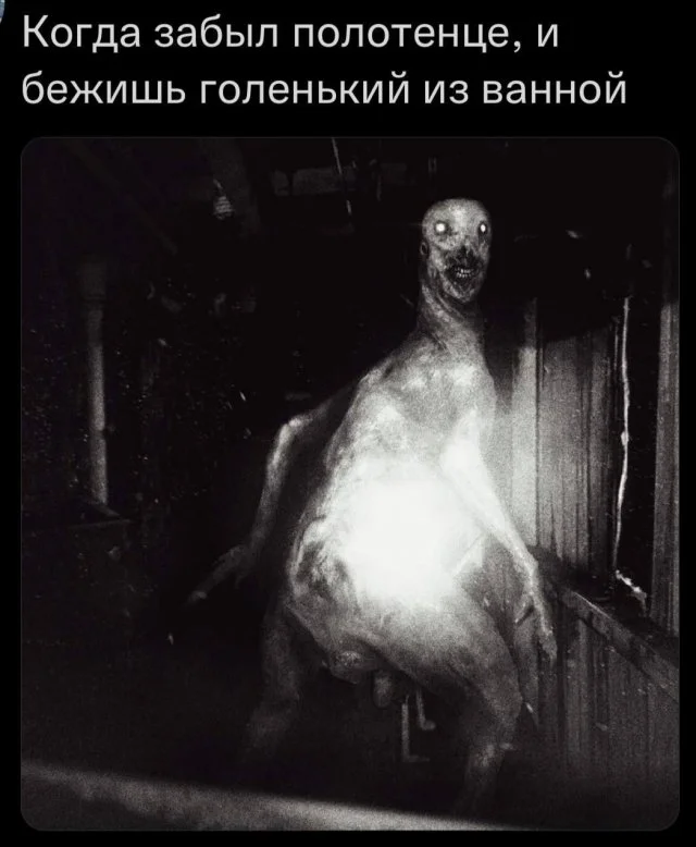 мемы