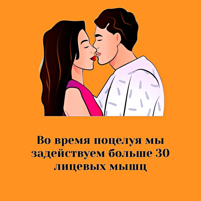 наука о сексе