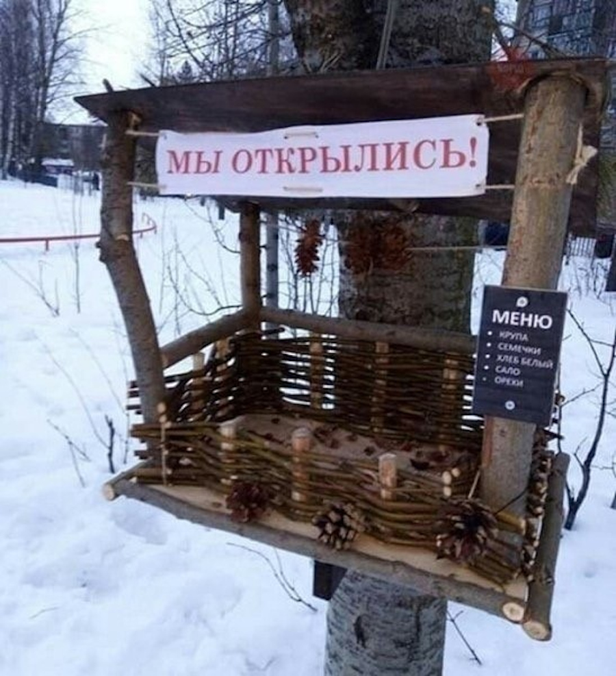 фото приколы
