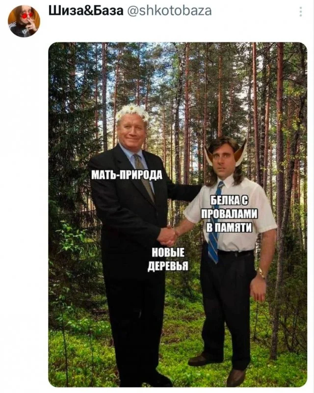 мемы