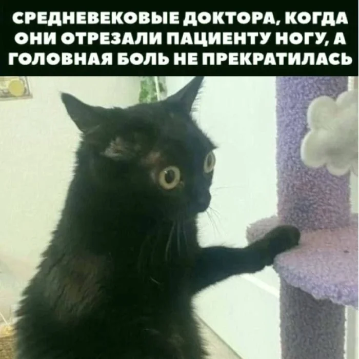 черный юмор