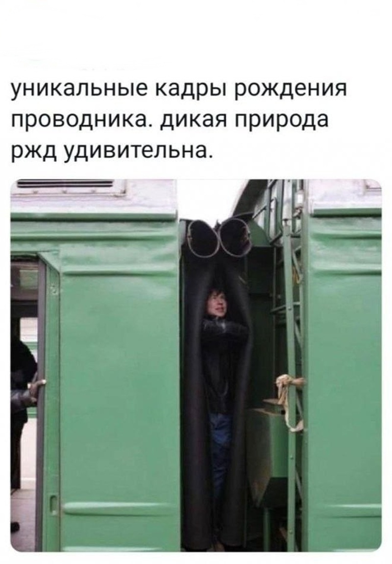 фото приколы