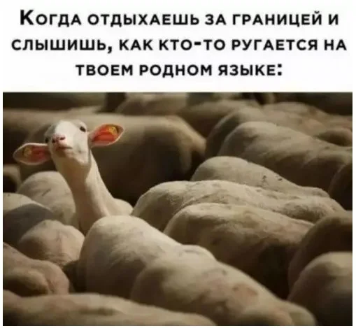 Смешные картинки