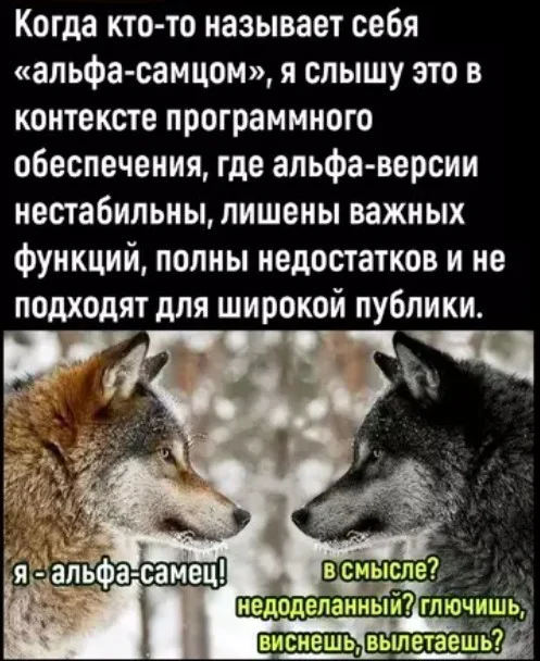 Смешные картинки