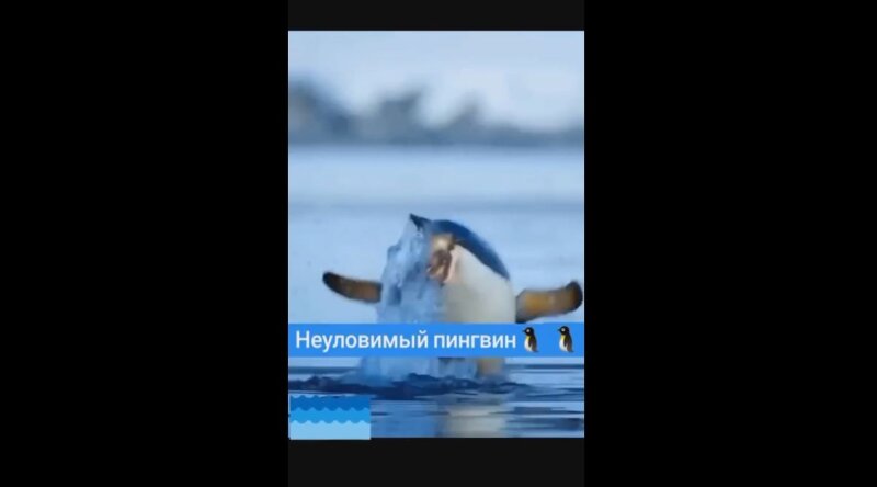 Такие новости я люблю 😂